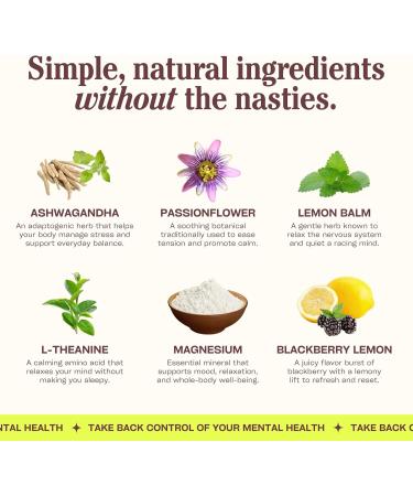 PROXY Just Chill Stress Relief Gummies | Daily Calm with Ashwagandha, Magnesium, L-Theanine, Lemon Balm & Passionflower | Natural Stress Support & Relaxation | Vegan BlackBerry Lemon, 30 Count - Buy Online on GoSupps.com