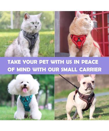 Buy Tikxlafe Adjustable Cat Dishes with Leash - 150 cm Polyester Cat Line Set for Kittens (Red Size S) - International Shipping Available - Buy Online on GoSupps.com