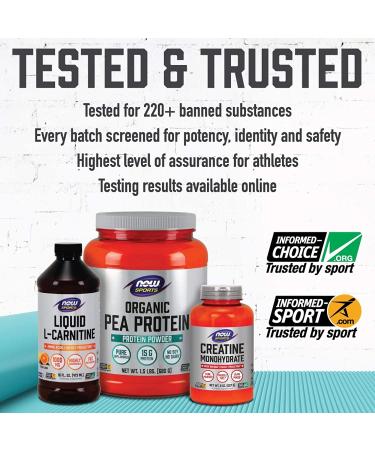 Now Foods Sports Organic Pumpkin Seed Protein Powder - Unflavored 1 lb | Natural Plant-Based Protein - Buy Online on GoSupps.com