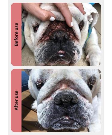 Shop GJYC PET Folding Care Set for Bulldogs & Pugs | Wrinkle & Tear Stain Cleaning Towels Balm & Care Essentials - 1 oz + 120 Count - Buy Online on GoSupps.com
