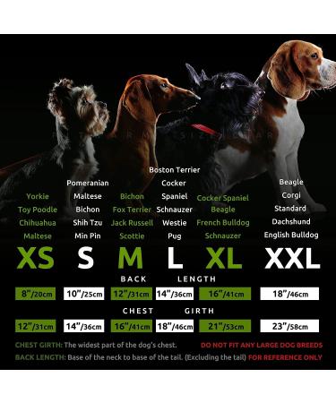 Fitwarm Patriotic Star Dog Shirt - 4th of July Memorial Day Independence Day Holiday Clothes for Small Dogs - Breathable Cotton in Red, Navy Blue, White - Medium - Buy Online on GoSupps.com