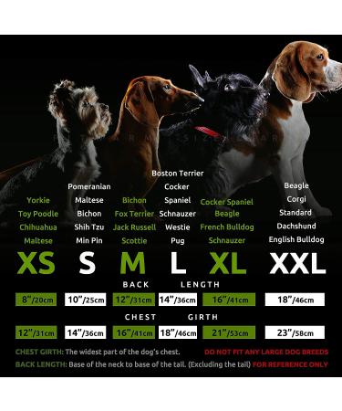 Fitwarm 2 Pack Dog Cooling Shirt for Small Dogs - Breathable Mesh Summer Clothes for Pets - Green/Blue Striped Tshirt - Medium - Buy Online on GoSupps.com