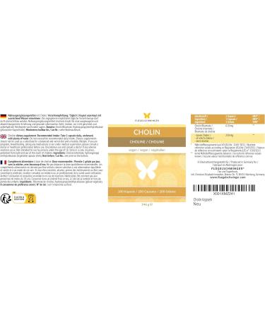 200 Vegan Choline Capsules for 6 Months Supports Fat Metabolism & Liver Function No Additives - Buy Online on GoSupps.com