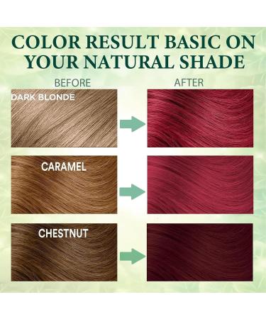 Dark Red Wine 3 in 1 Hair Dye Shampoo for Gray Hair - Herbal Instant Red Color Ammonia & Paraben Free Long Lasting - 500ml - Buy Online on GoSupps.com