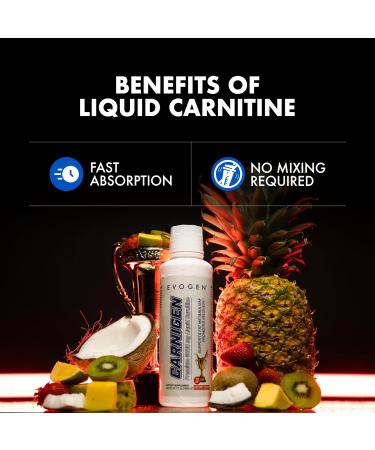 Evogen Carnigen - Liquid Carnitine | Supports Fat Metabolism & Recovery, Caffeine Free | L-Carnitine, Acetyl L-Carnitine | Victory Punch | 31 Servings - Buy Online on GoSupps.com