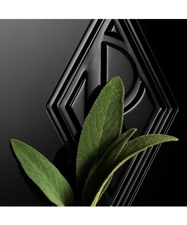 Ralph Lauren Ralph's Club Elixir Refillable 75ml - Buy Online on GoSupps.com