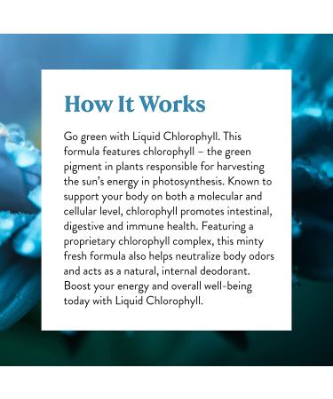 Nature's Sunshine Chlorophyll Liquid 16 fl. oz - Fresh Mint | Kosher | Detox & Digestive System Support - Buy Online on GoSupps.com