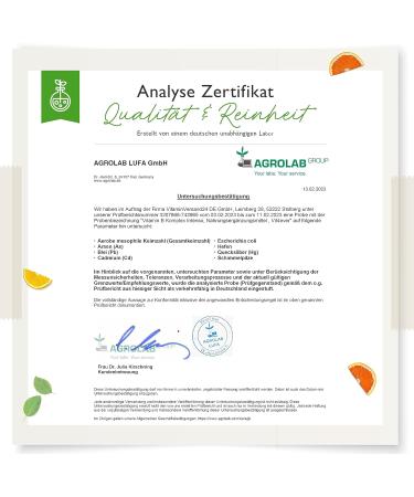 Premium Vitamin B Complex Intense - 180 Vegan Capsules | Bio-Active Forms & Quatrefolic | 6-Month Supply | Higher Potency & Essential Co-Factors - Buy Online on GoSupps.com