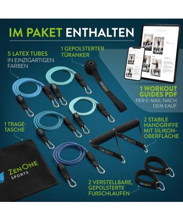 Zenone Sports Resistance Fitness Bands - 5 Robust Resistance Tapes for Home Workout - Premium Blue Fitness Straps - Train Anytime Anywhere! - Buy Online on GoSupps.com