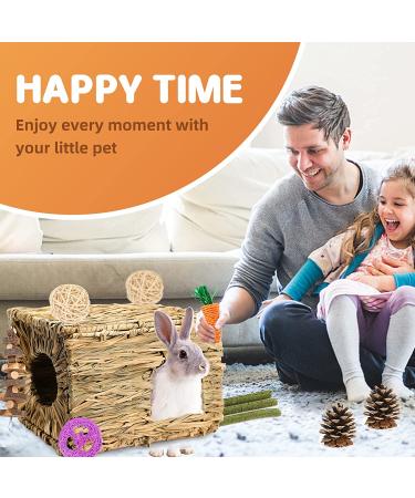Handmade Edible Grass Bunny House for Rabbits, Guinea Pigs & Small Pets - Style 1 - Buy Online on GoSupps.com