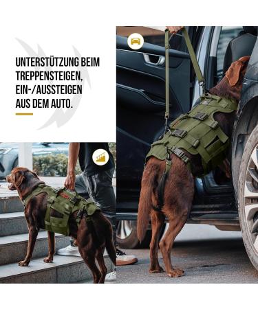 Buy Oneigris Dog Dishes - Invictus Support & Lifting Dishes for Medium & Large Dogs | Safety Dishes with 3 Handles & Adjustable Straps - M Green - Buy Online on GoSupps.com