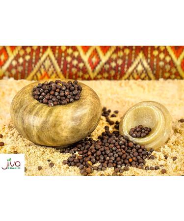 Jiva Organic Black Mustard Seeds Whole 2.75 Pound Bulk Bag - Non-GMO Keto Friendly  Non-Irradiated - Buy Online on GoSupps.com
