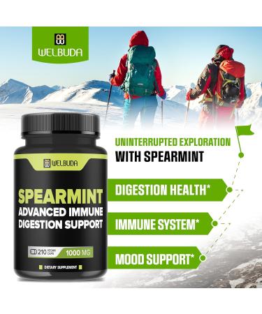 210 Capsules - Spearmint Supplement with Olive Leaf Ginger Root Black Pepper & More - Combined Formula for Digestion Health Respiratory Health Immunity & Positive Mood Support 210 Count (Pack of 1) - Buy Online on GoSupps.com