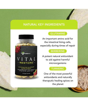 KaraMD Vital Restore - Leaky Gut & Immune Support Supplement - Zinc, Turmeric, Berberine, L-Glutamine - 30 Servings - Buy Online on GoSupps.com