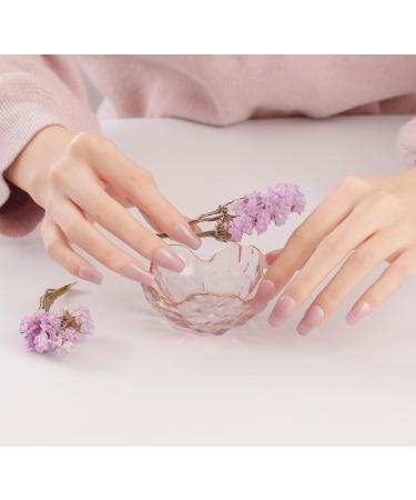 DANNI & TONI Semi Cured Nail Wraps - Aglaia Salon-Quality Gel Nail Stickers Set with Light Pink Tips - 28 Self-Adhesive Strips for Manicure - Buy Online on GoSupps.com