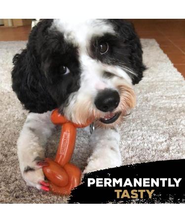 Rosewood TastyBone Extra Robust Knotted Nylon Dog Toy - Lamb Flavour Lamb Chop | International Shipping Available - Buy Online on GoSupps.com