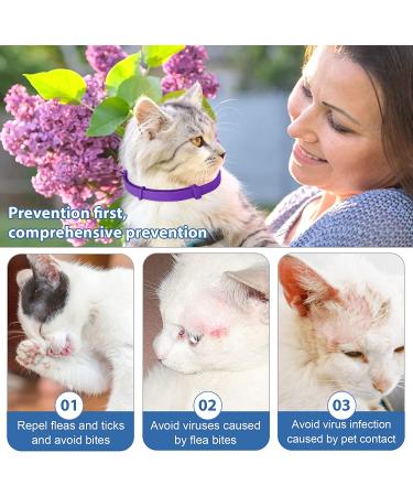 2 Pack Cat Flea Collar | 8 Months Protection | Repels Fleas & Ticks | Safe & Effective Prevention - Buy Online on GoSupps.com