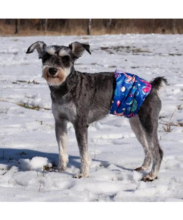 Buy Cuteebone Male Washable Dog Diapers - 3 Reusable Belly Bands with Velcro - High-Suction Dog Wraps (S 28-35.5cm) - Ideal for Pets Worldwide - Buy Online on GoSupps.com