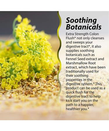 Buy Irwin Naturals Colon Flush Extra Strength 60 Liquid Soft-Gels | Optimal Digestive Health - Buy Online on GoSupps.com