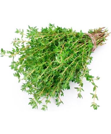 Thyme Herb Tea | Thymus Serpyllum L | Thym Herbe Tisane | Health Embassy (50g) - Buy Online on GoSupps.com