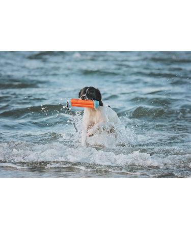 Chuckit! Amphibious Bumper Dog Toy with Rope | Floating Fetch Water Toy for Dogs | Medium Size - Buy Online on GoSupps.com
