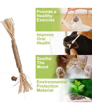 Catnip Chew Toy for Cats | Interactive Silvervine Stick for Kitten Teething | Teeth Cleaning Cat Toy - Buy Online on GoSupps.com