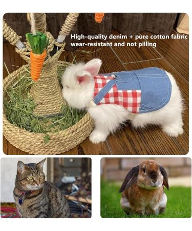 Adjustable Soft Rabbit Dishes & Leash Set | Ideal for Small Pets - Rabbits Cats Guinea Pigs (M Pink) - Buy Online on GoSupps.com