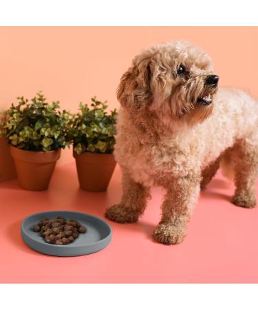 NE & NO Food Bowl for Small Dogs & Puppies - Silicone Wide Design for Dry & Wet Food - Travel & Camping Bowl (Steel Blue) - Buy Online on GoSupps.com