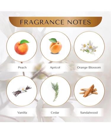 Elizabeth Inspired by chlo-e- narcisse perfume for women Oriental Floral Fragrance with Narcissus Rose & Jasmine - Long-Lasting Elegant Scent with Warm Vanilla & Sandalwood 100ml - Buy Online on GoSupps.com