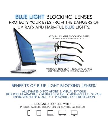 Success Eyewear Computer Glasses - 2 Pair Anti-Glare Spring Hinge Ombre Color | Stylish Reading Glasses for Men & Women - Havana Blue & Red Set - Buy Online on GoSupps.com