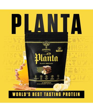 Ambrosia Planta - Premium Plant-Based Protein | Vegan & Keto Friendly | Gourmet Flavors with No Bloating or Stomach Upset | No Added Sugar | 14 Servings | (Banana Maple) - Buy Online on GoSupps.com