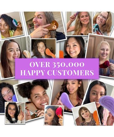 Lily England Detangling Brush for Curly, Thick, Natural, Straight, Fine Hair - Wet/Dry Hairbrush for Women, Kids, Toddlers - Ombre - Buy Online on GoSupps.com