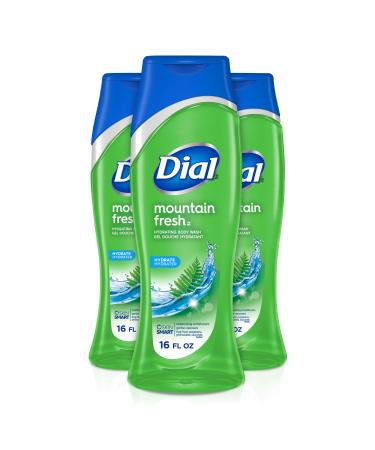 Dial Body Wash Mountain Fresh with All Day Freshness 16 Fluid Ounces (Pack of 3) Mountain Fresh 16 Fl Oz (Pack of 3)