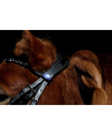 Tysons Breeches Nobless Bridle for Minishetty - Anatomically Cut Black Silver Grey with Rhinestones - Buy Online on GoSupps.com