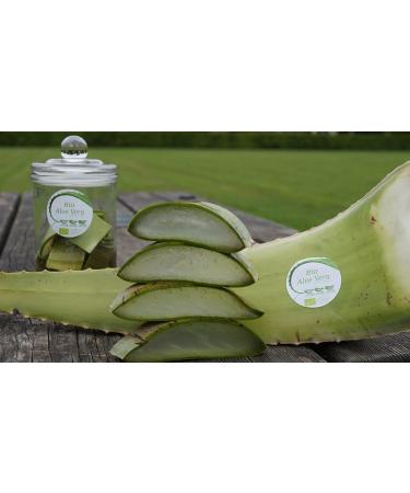 Buy 5 x Best Organic Aloe Vera Barbadensis Leaves - Natural Health Benefits for All | International Shipping Available - Buy Online on GoSupps.com