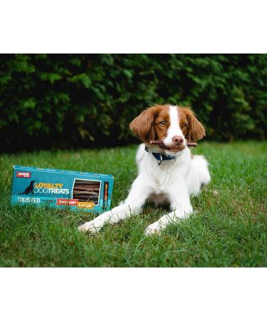 Loyalty Dog Treats Pig Ears (Pack of 25) + Beef Bully Sticks (Pack of 10) | Natural Single Ingredient Dehydrated Dog Chews Dog Treats + Dental Chew 6 inch 25 Pack - Buy Online on GoSupps.com