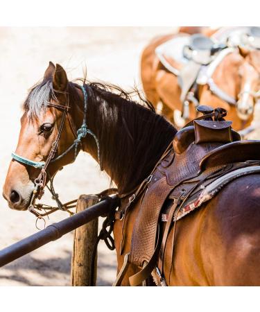 Starkenburg Horse Saddle Bag Cell Phone Holder | Easy-Access Pommel Bag for Small Items | Secure Light Brown Design - Buy Online on GoSupps.com