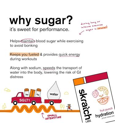 SKRATCH LABS Sport Hydration Drink Mix | Poudre de glucides et d' lectrolytes | 20x22g | Punch aux fruits | Endurance entra nement comp tition |Sans gluten Vegan Keto - Buy Online on GoSupps.com