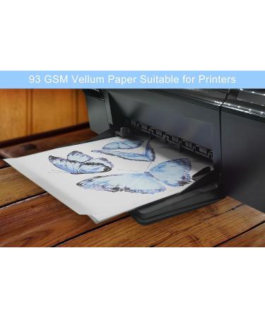 100 Sheets Vellum Paper 8.5 x 11 Translucent Printable for Invitations  Cards Inserts  Photo Overlays  Sketching  Tracing - Buy Online on GoSupps.com