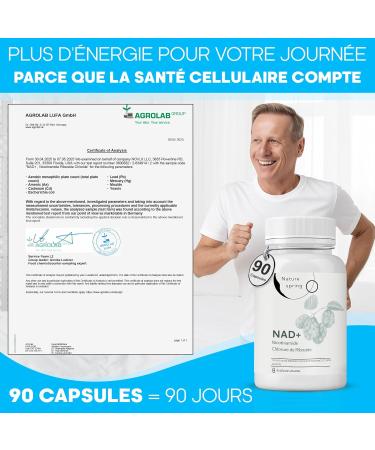 Nad Supplement Nicotinamide Riboside 90 Capsules - Test en Laboratoire en Allemagne - 300 mg par Capsule - Nicotinamide Nad pour 3 Mois - Buy Online on GoSupps.com