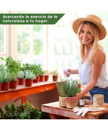 1L Concentrated Potassium Soap - 100% Natural and Ecological - Improves and Activates the Natural Defenses of Indoor and Outdoor Plants - Acts Quickly and Effectively - Buy Online on GoSupps.com