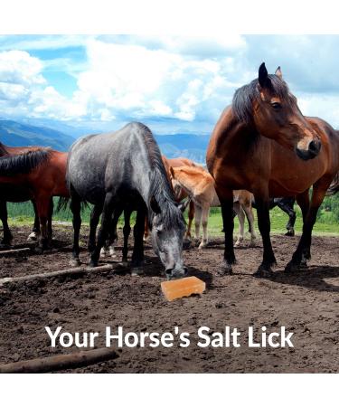 Himalayan Nature Licking Salt for Horses - 2 Pack Pink | Natural Mineral Supplement - Buy Online on GoSupps.com