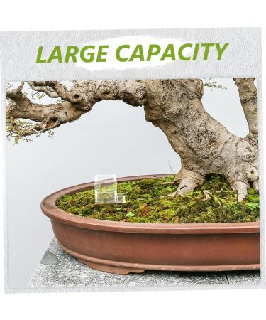 Parliky Pet Water Feeder Small Ants Feeder Ants Drinking Bowls Transparent Ants Feeding Cup Plastic - Buy Online on GoSupps.com