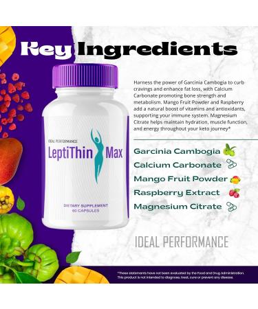 Leptithin Max Keto Capsules LeptithinMax Advanced Formula Supplement Pills - Maximum Strength Leptithin Max All Natural Keto Pills LeptithinMax Capsules Leptithin Max Pills Reviews (5 Pack) - Buy Online on GoSupps.com