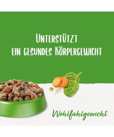 Beneful Dry Dog Food - with Chicken and Garden Vegetables - 1 Pack (1 x 12 kg) - Buy Online on GoSupps.com