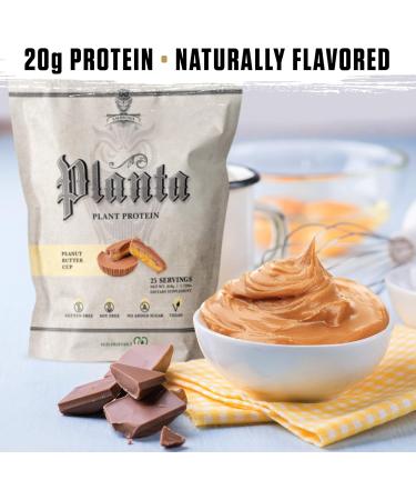 Ambrosia Planta - Plant-Based Protein Powder 20g | Dairy Free Vegan Protein Powder with BCAA Amino Acids | Keto-Friendly No Added Sugar | 25 Servings | Peanut Butter Cup - Buy Online on GoSupps.com