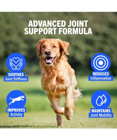JOINTSURE Joint Support Supplements for Dogs 120 Tabs Aids Stiff Joints Supports Joint Structure & Maintains Mobility in Adult/Senior Dogs | Advanced Formula Helps Arthritis Relief (pack varies) 120 Tablets - Buy Online on GoSupps.com