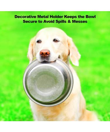 PETMAKER Stainless Steel Raised Food and Water Bowls with Decorative Stand - 2 Pack 6.5 Height - Buy Online on GoSupps.com