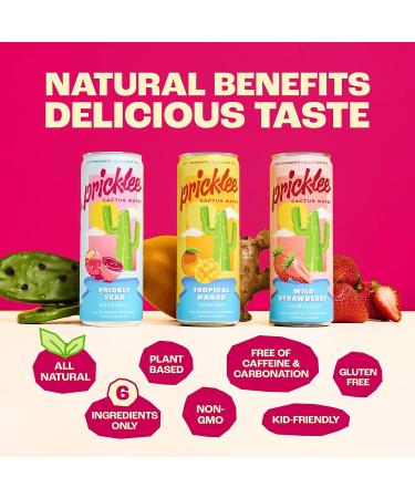 Cactus Water Variety Pack - 12 Fl Oz Prickly Pear Drink with Antioxidants & Electrolytes | Low-Sugar Non-Bubbly Hydration & Immunity Boost - 3 Delicious Flavors - Buy Online on GoSupps.com