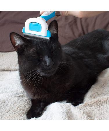 Paws & Pals Dog Brush - Gentle Hair Rake for Shedding Dogs & Cats - Coat Grooming and Pet Hair Removal - Buy Online on GoSupps.com